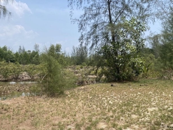 151 Rai land for sale near Natai Beach in Phang Nga