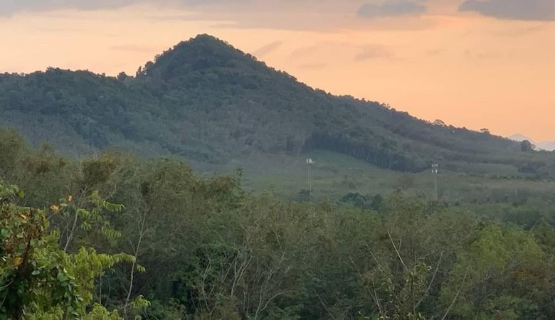 19 Rai Sea View Land for Sale in Koh Yao Noi, Phang Nga