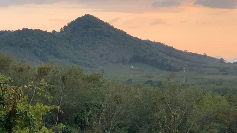 19 Rai Sea View Land for Sale in Koh Yao Noi, Phang Nga