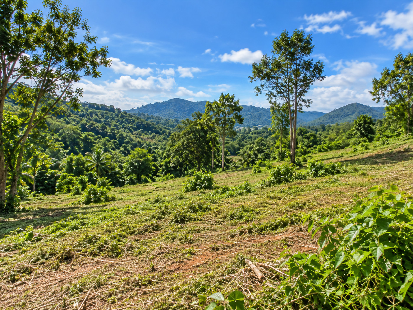 62,400 sqm Development Land for Sale in Kathu Phuket