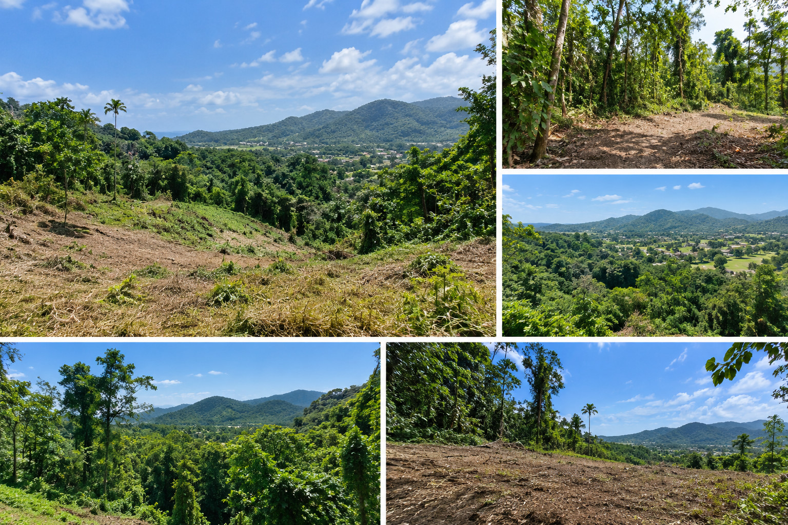 62,400 sqm Development Land for Sale in Kathu Phuket