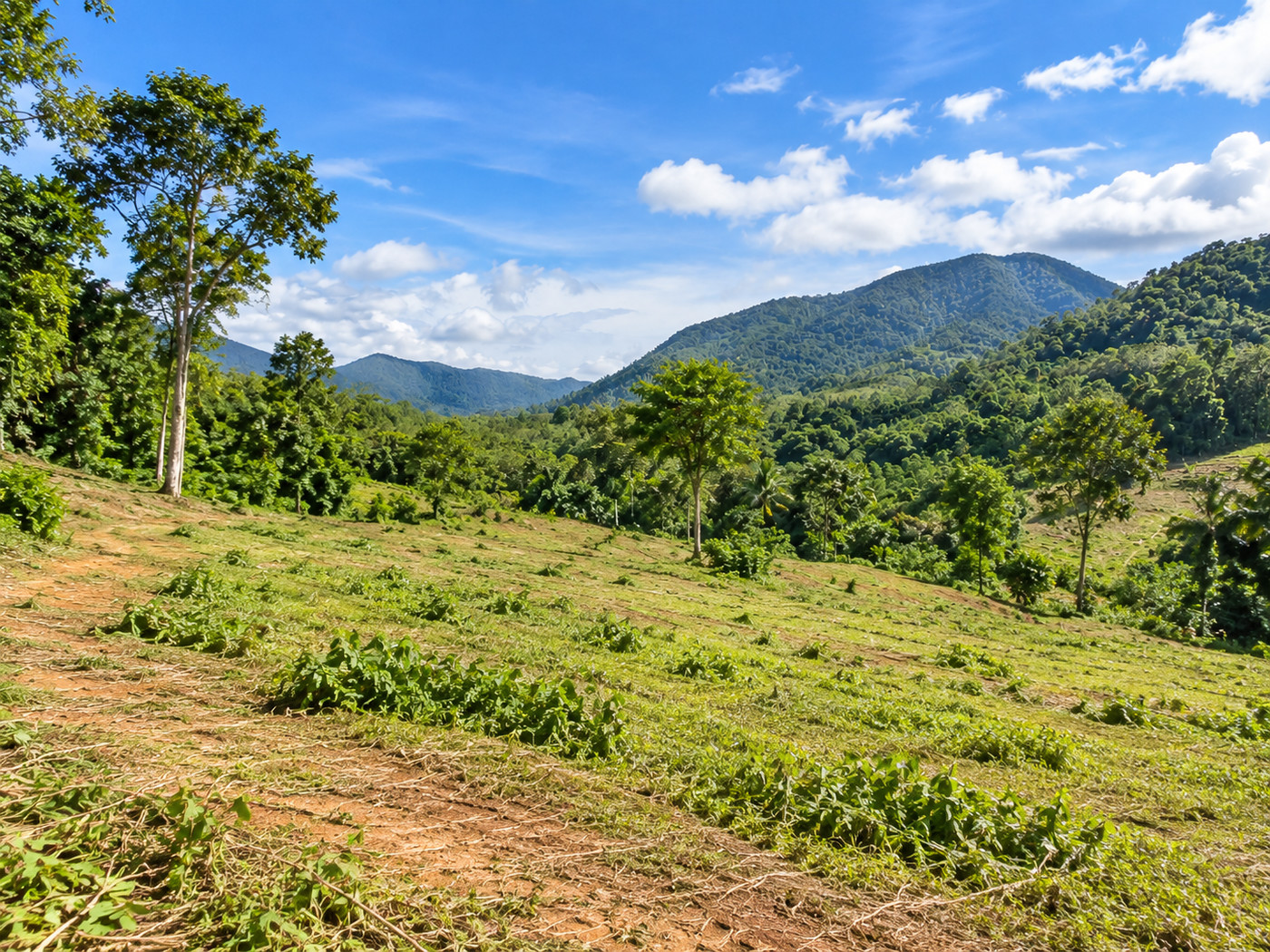62,400 sqm Development Land for Sale in Kathu Phuket