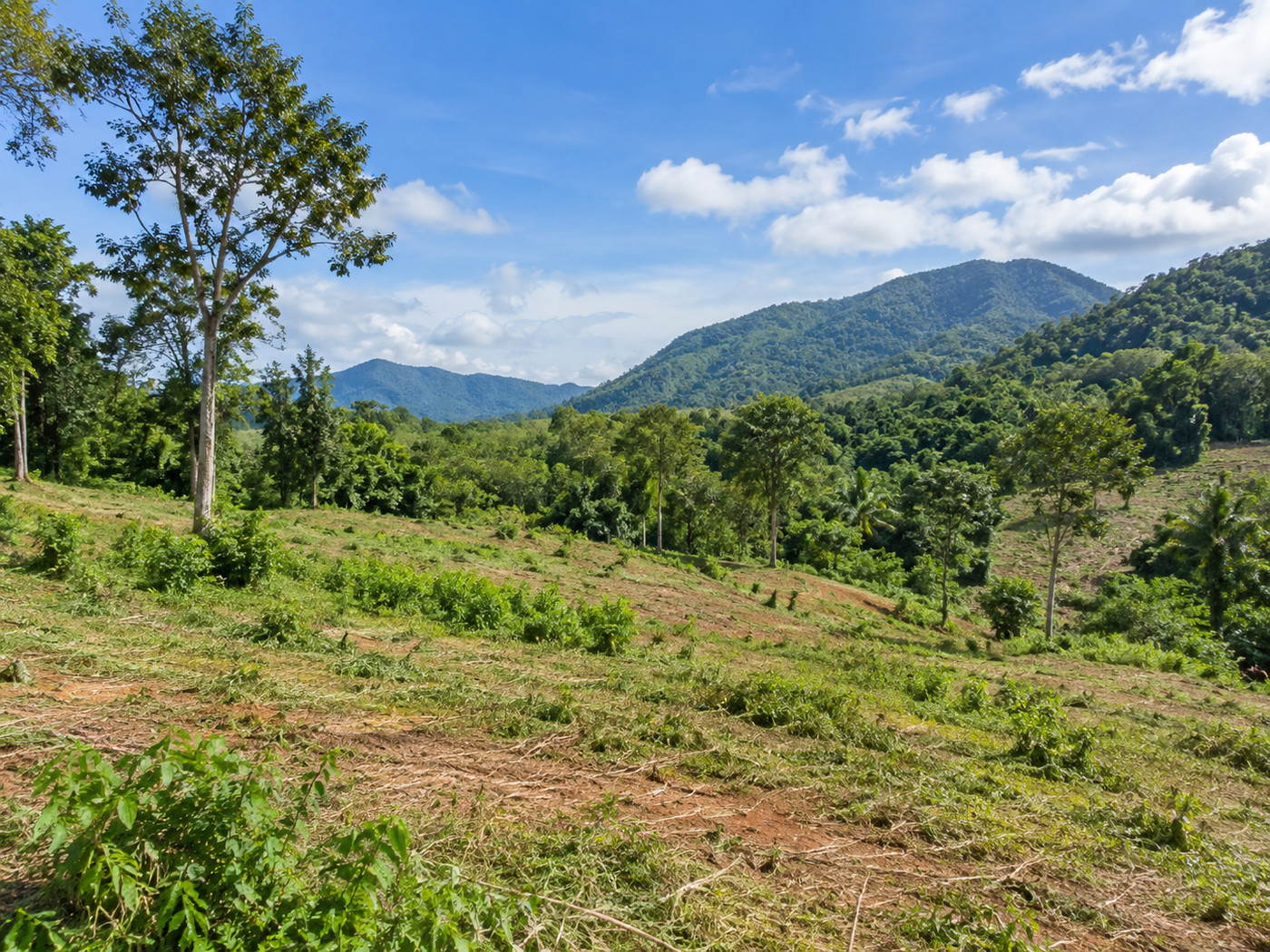 62,400 sqm Development Land for Sale in Kathu Phuket