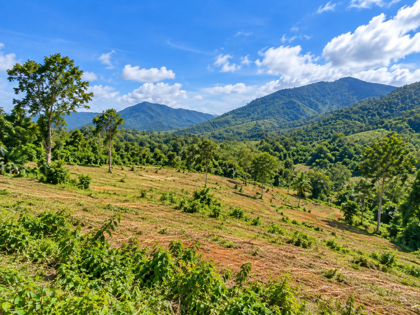 62,400 sqm Development Land for Sale in Kathu Phuket
