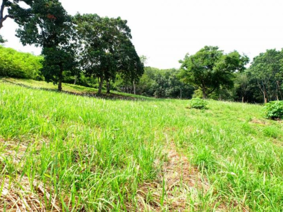 Land for sale in Nai Harn Phuket