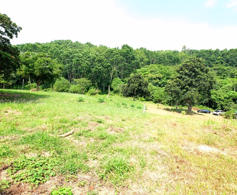 Prime 5,376 Sqm Land for Sale in Nai Harn, Phuket