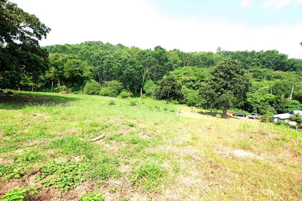 Prime 5,376 Sqm Land for Sale in Nai Harn, Phuket