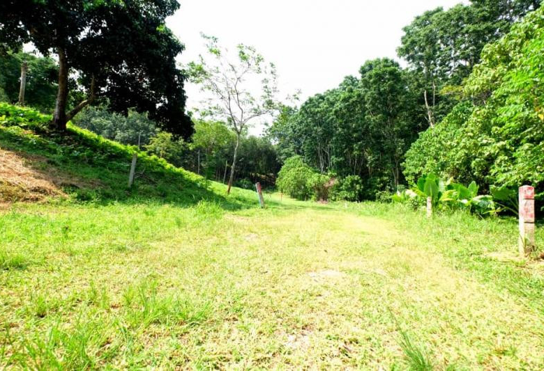 Prime 5,376 Sqm Land for Sale in Nai Harn, Phuket