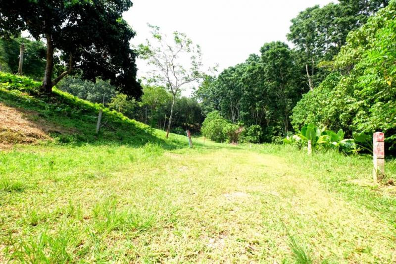 Prime 5,376 Sqm Land for Sale in Nai Harn, Phuket