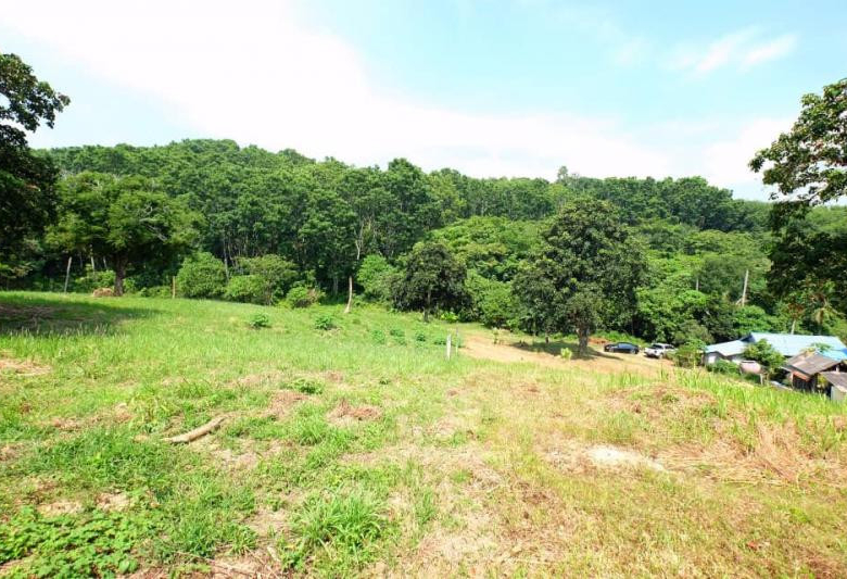 Prime 5,376 Sqm Land for Sale in Nai Harn, Phuket