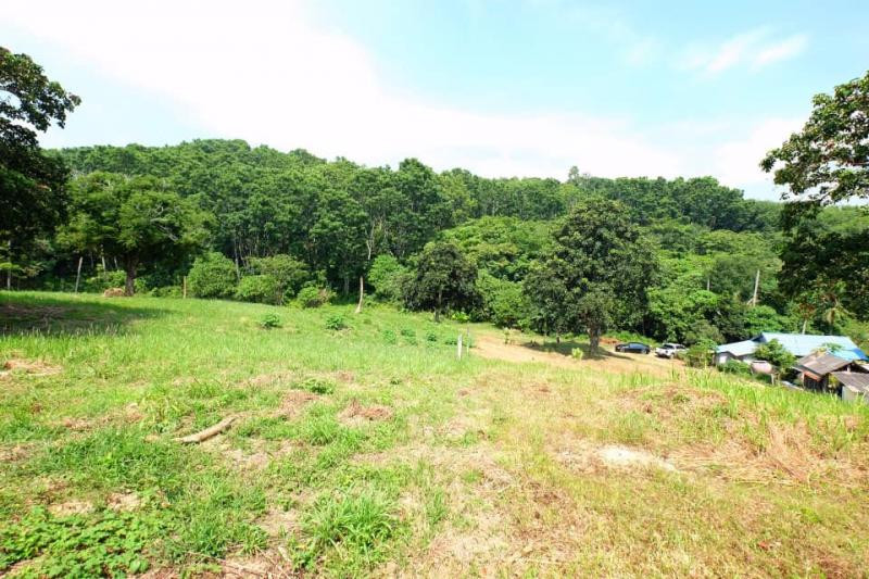 Prime 5,376 Sqm Land for Sale in Nai Harn, Phuket