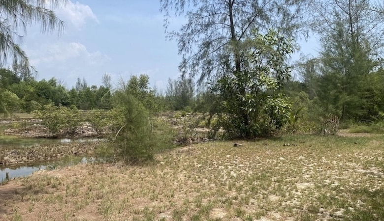 151 Rai Land for Sale Near Natai Beach, Phang Nga