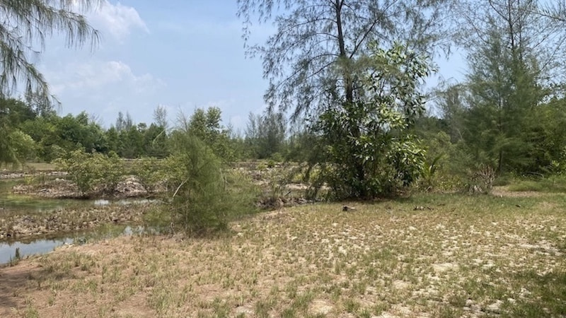 151 Rai Land for Sale Near Natai Beach, Phang Nga