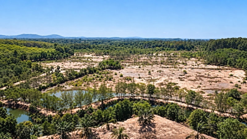 151 Rai Land for Sale Near Natai Beach, Phang Nga