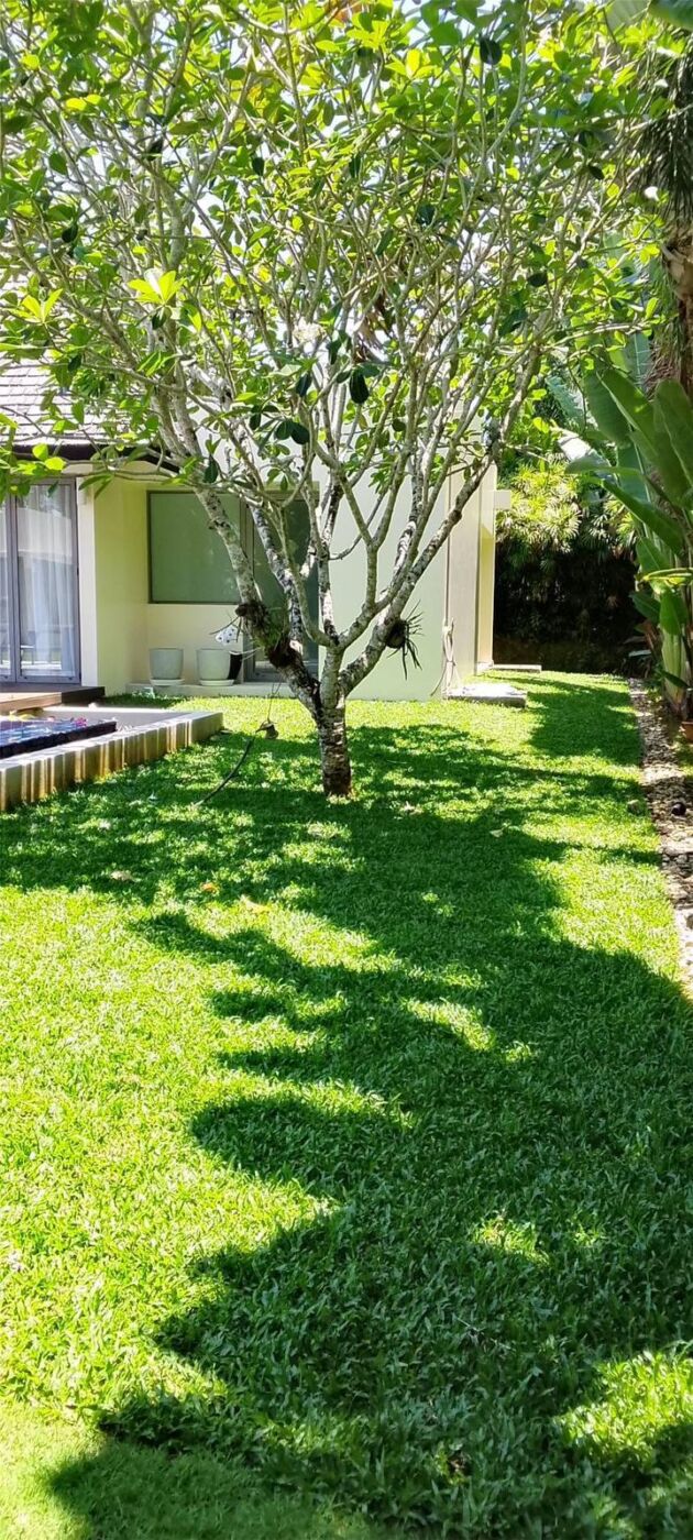 4 Bedroom Luxury Villa for Rent at Layan Hills Estate