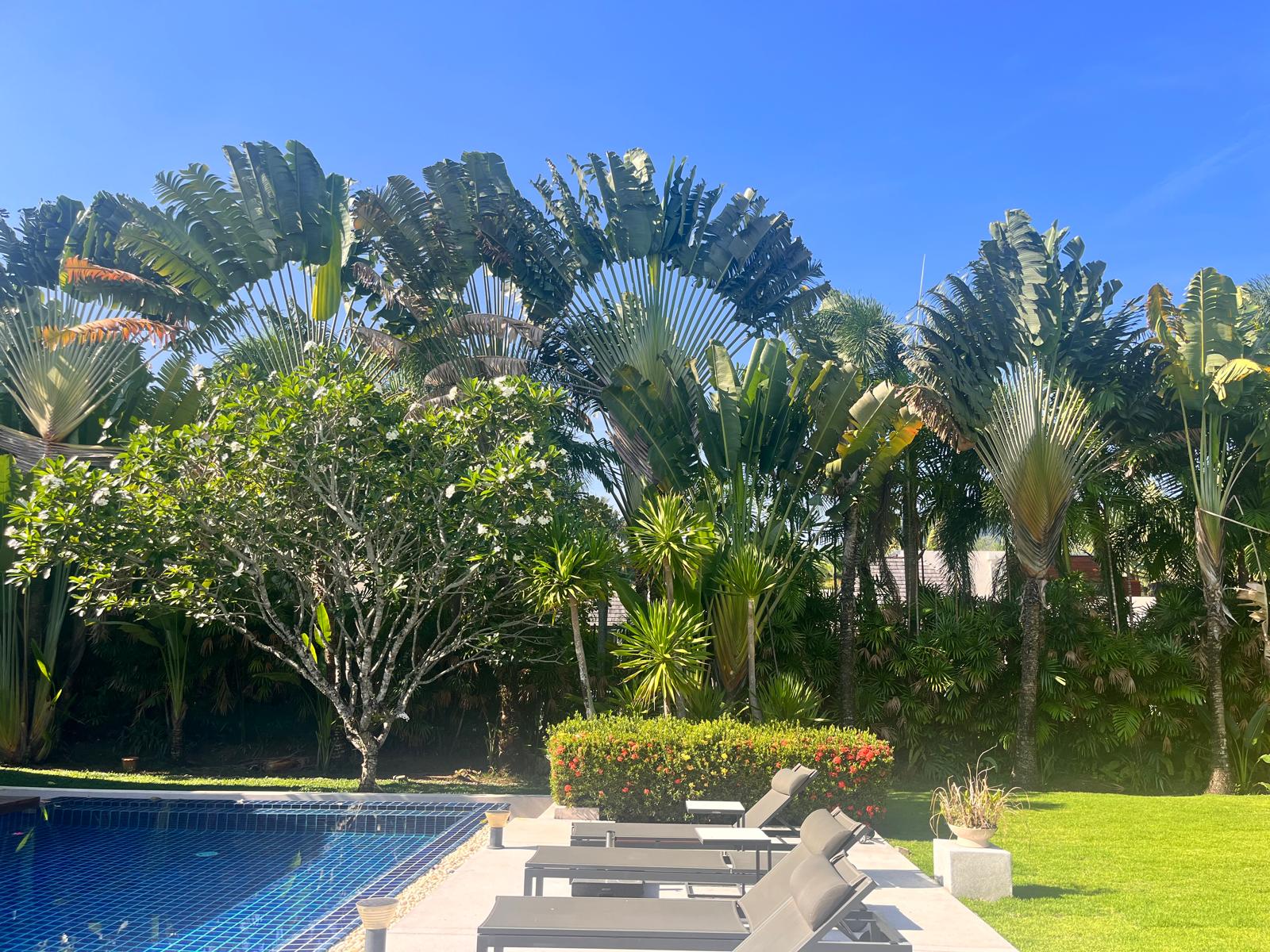 4 Bedroom Luxury Villa for Rent at Layan Hills Estate