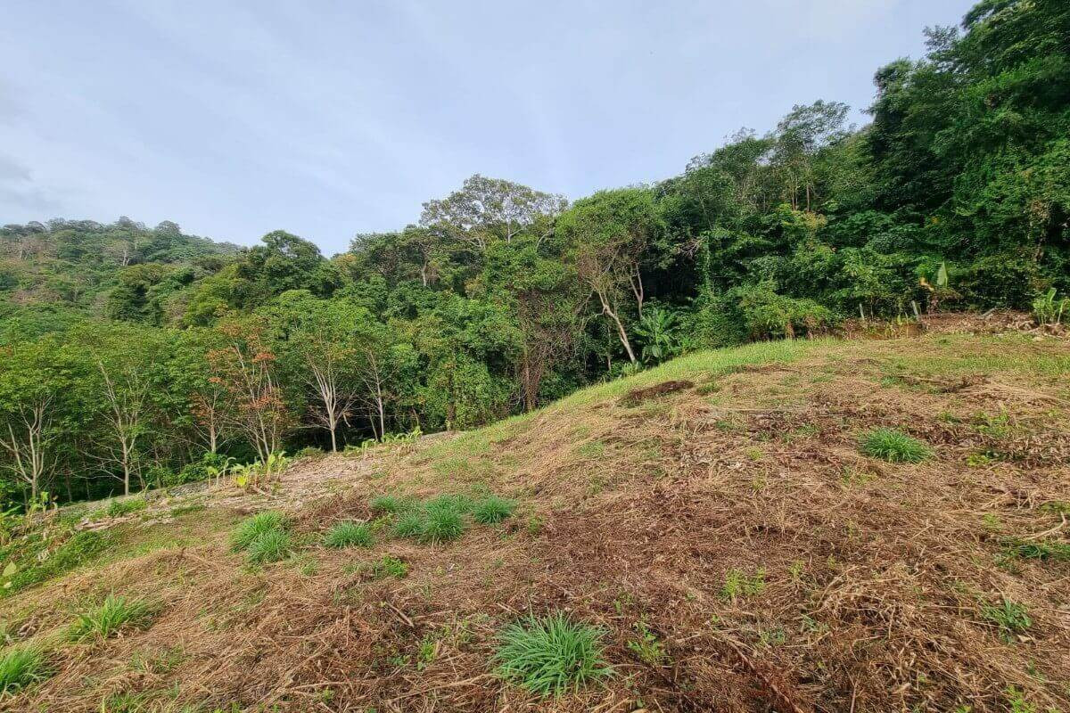 1.74 Rai Sea View Land for Sale in Nai Harn, Phuket