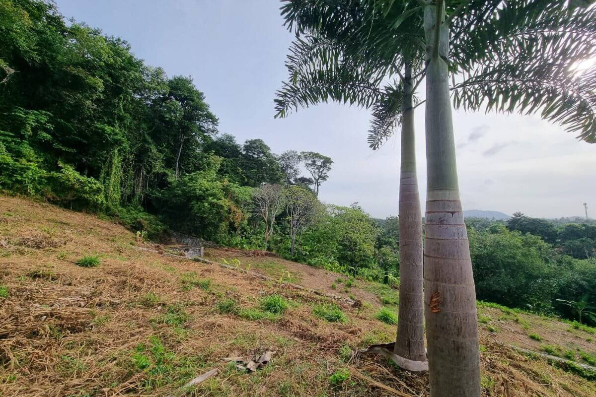 1.74 Rai Sea View Land for Sale in Nai Harn, Phuket