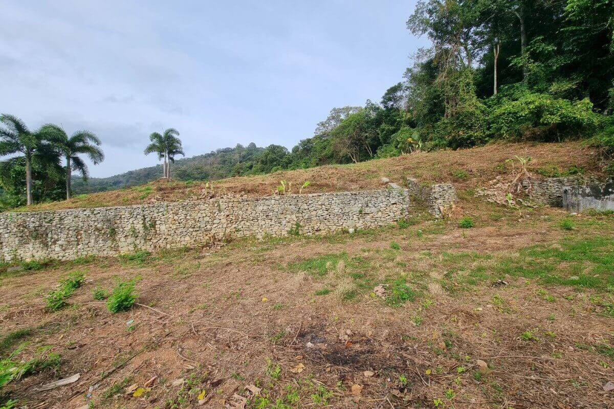1.74 Rai Sea View Land for Sale in Nai Harn, Phuket