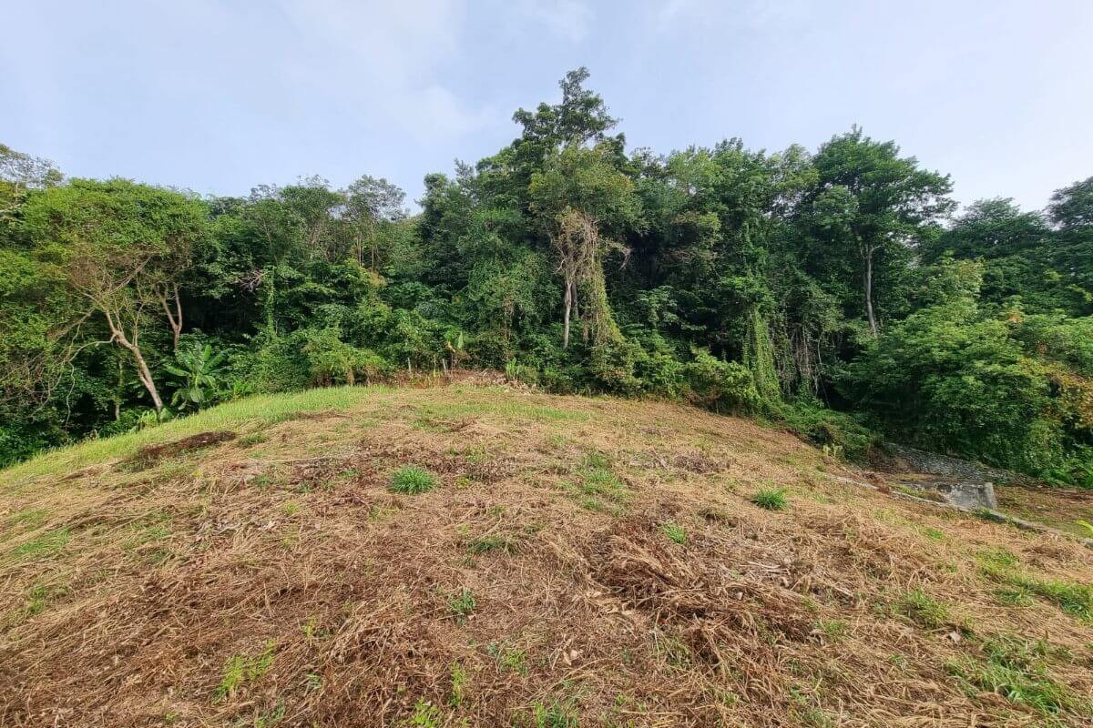 1.74 Rai Sea View Land for Sale in Nai Harn, Phuket