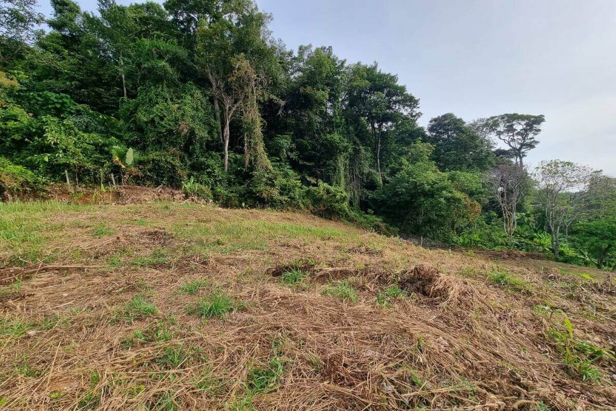 1.74 Rai Sea View Land for Sale in Nai Harn, Phuket