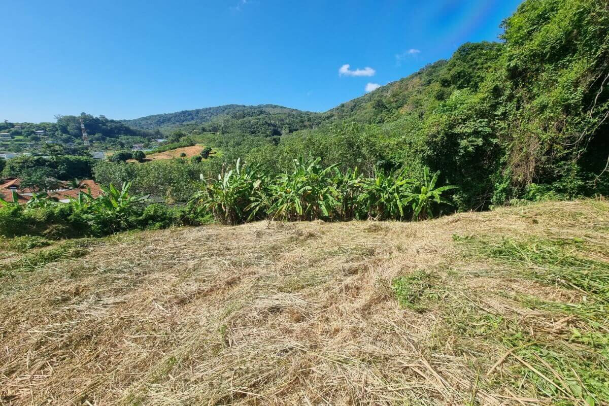 1.74 Rai Sea View Land for Sale in Nai Harn, Phuket
