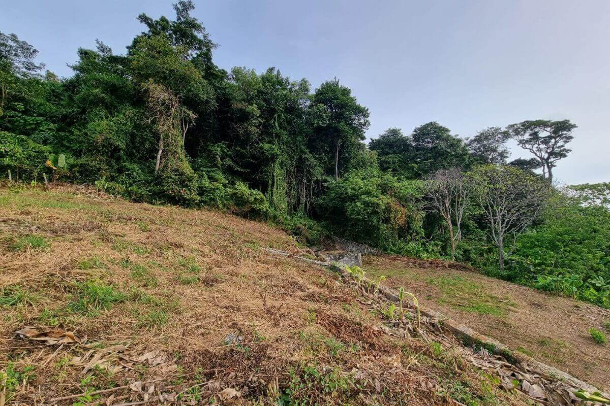 1.74 Rai Sea View Land for Sale in Nai Harn, Phuket