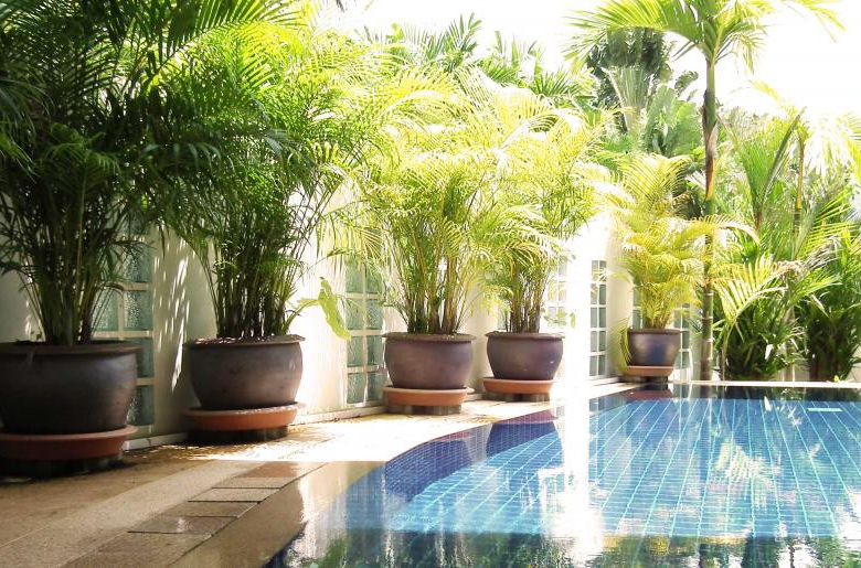 2 Bedroom Pool Villa for Rent in Paklok Near Ao Po Marina