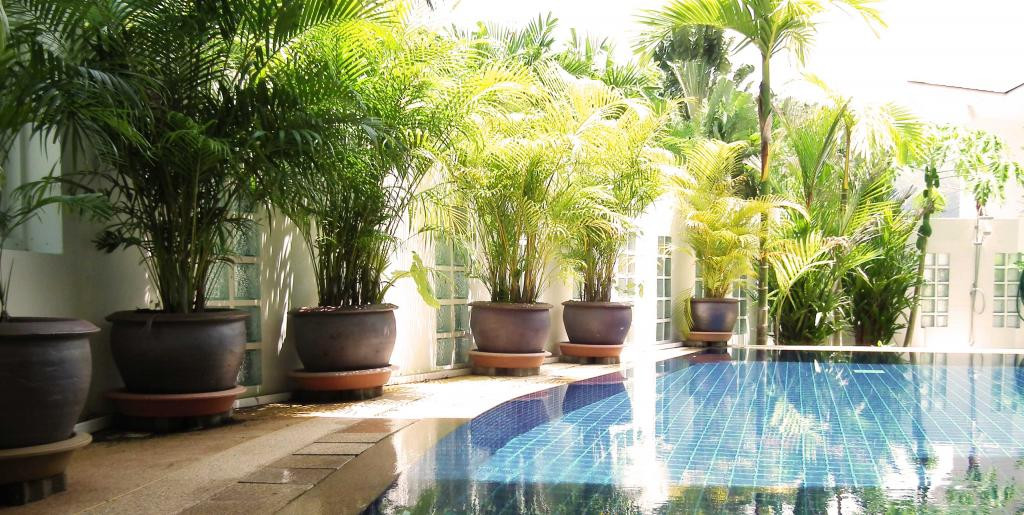 2 Bedroom Pool Villa for Rent in Paklok Near Ao Po Marina