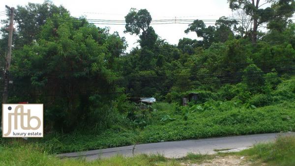 4,800 sqm Land for Sale in Patong, Phuket