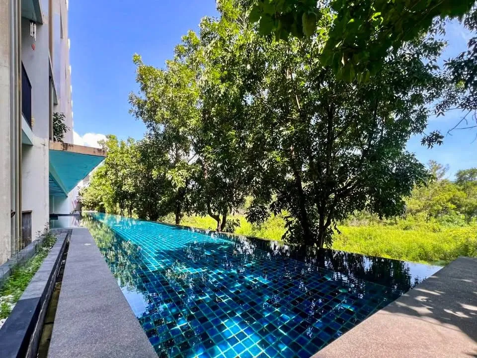 Foreign Freehold Studio for Sale at Zcape X2 near Boat Avenue